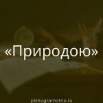Морфологический разбор 