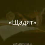 Морфологический разбор 