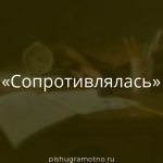 Морфологический разбор 