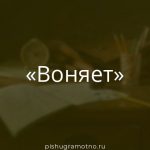 Морфологический разбор 