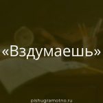 Морфологический разбор 