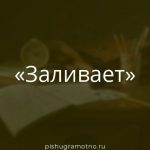 Морфологический разбор 