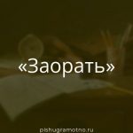 Морфологический разбор 