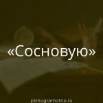 Морфологический разбор 