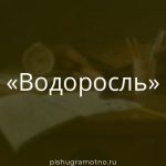 Морфологический разбор 