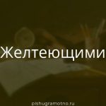 Морфологический разбор 