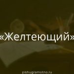 Морфологический разбор 