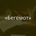 Морфологический разбор 