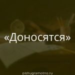 Морфологический разбор 