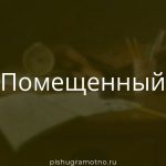Морфологический разбор 