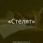 Морфологический разбор 