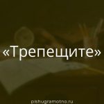Морфологический разбор 
