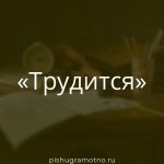 Морфологический разбор 