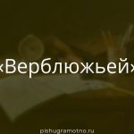 Морфологический разбор 