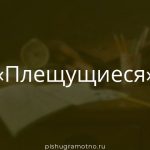 Морфологический разбор 