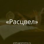 Морфологический разбор 
