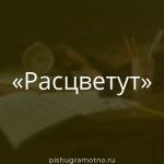 Морфологический разбор 