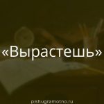 Морфологический разбор 